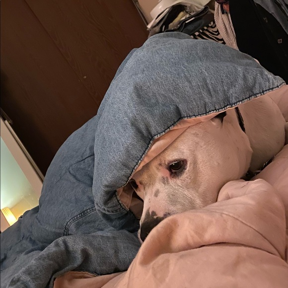 Meet your Posher, Stacey - Picture 1 of 1